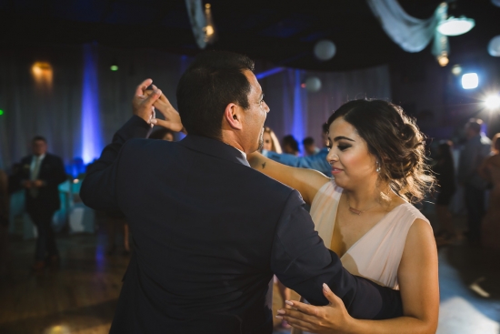 Chicago Wedding Photographer Windy City Production-148